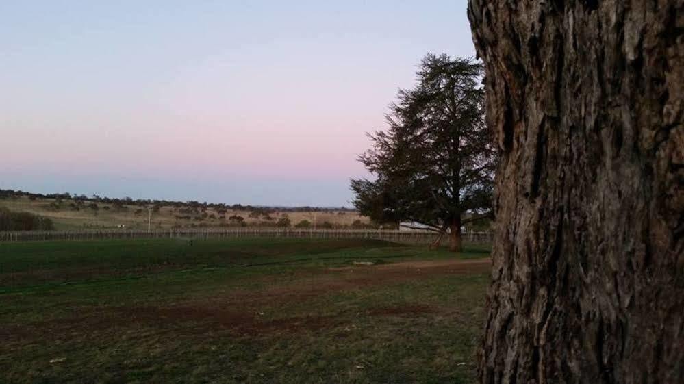 Petersons Armidale Winery And Guesthouse Exterior foto
